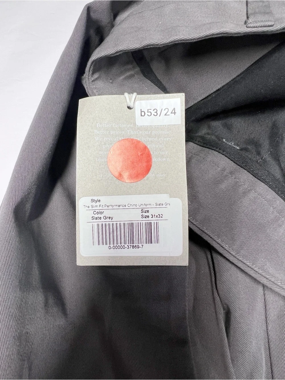 Everlane Slim Fit Performance Chino Uniform Stretch Pants Slate Grey 31x32 NWT